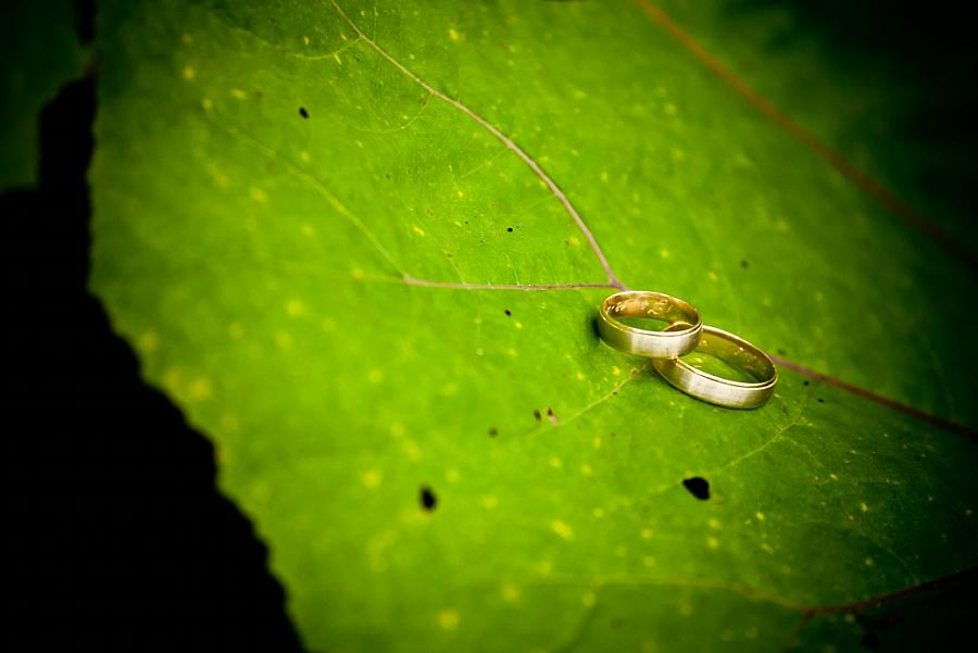 Fotografia ślubna