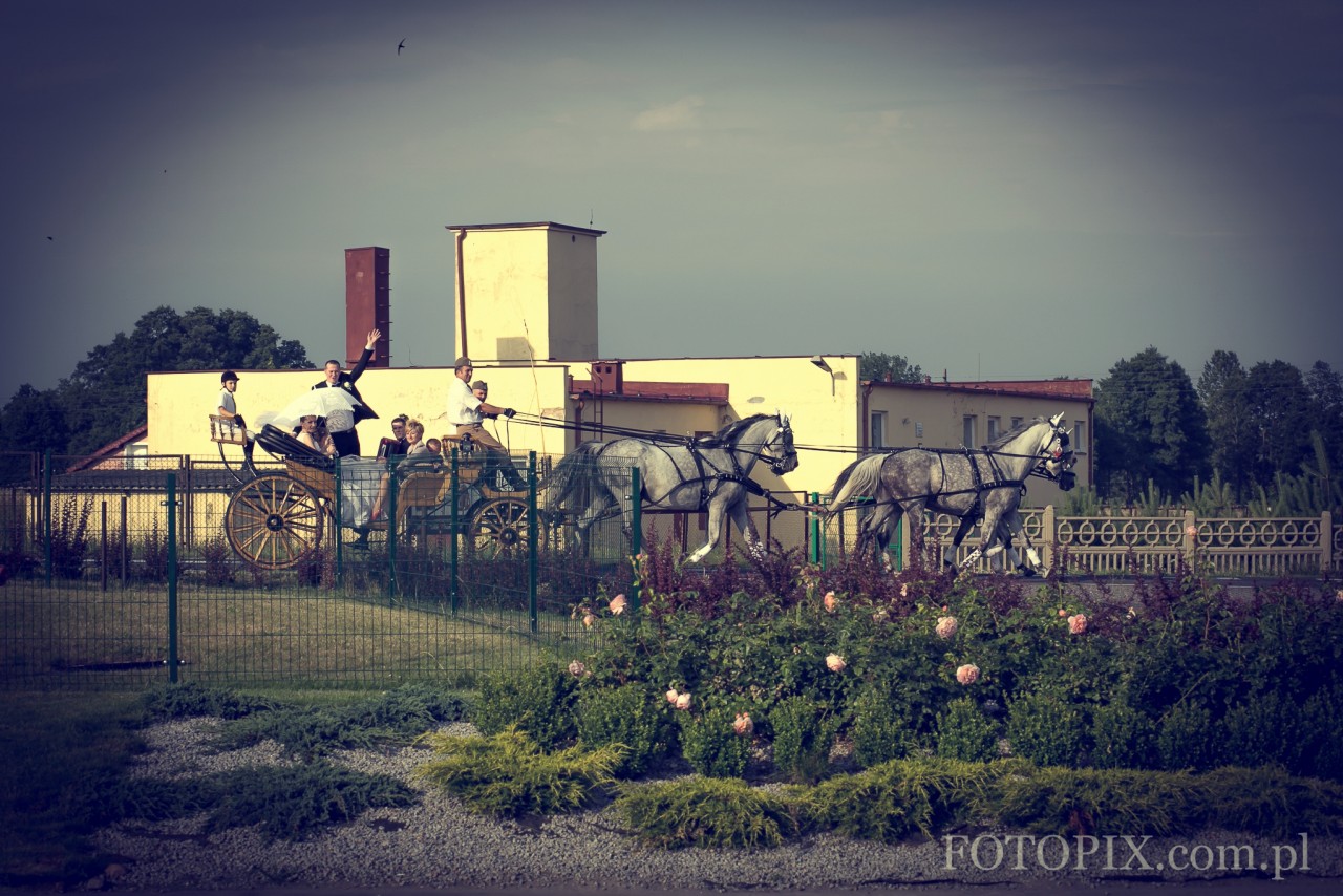 Żaneta i Grzegorz - Fotografia Ślubna Turek